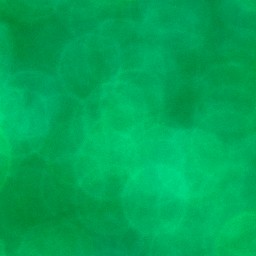 Bokeh-399